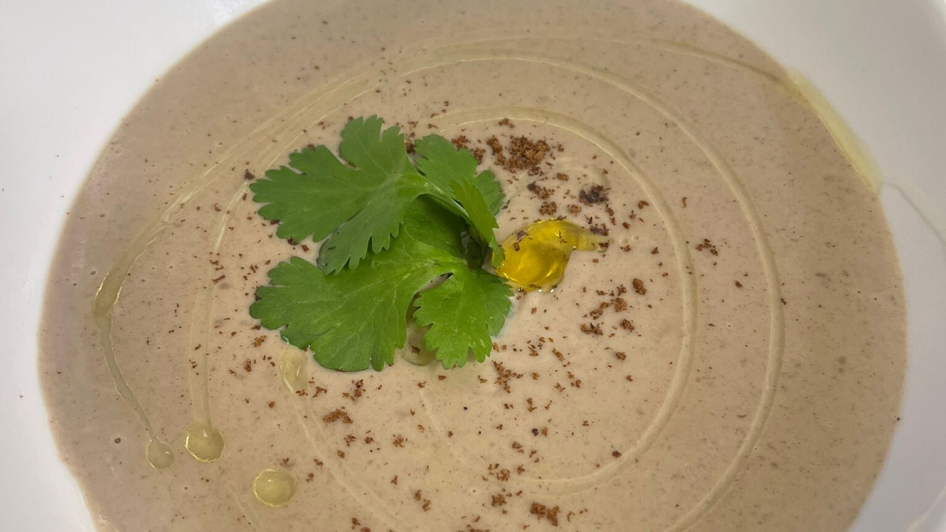 Mushroom cream soup